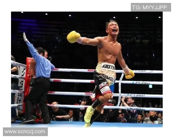 木村翔：从拳坛新星到世界冠军的奋斗历程与背后故事