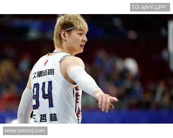 王哲林在CBA赛场的崛起之路与未来发展潜力分析