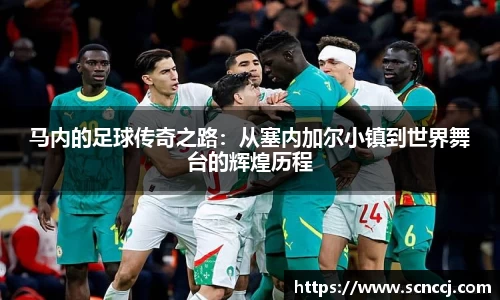 EVO视讯体育赛事